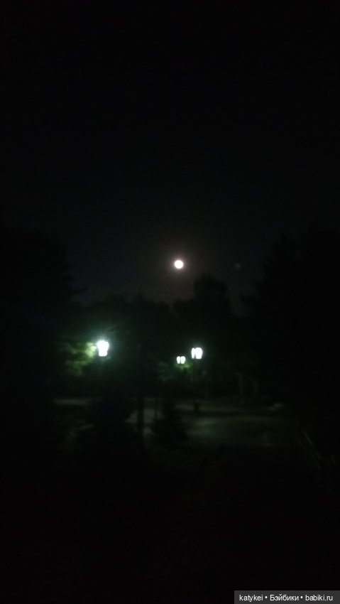 День лошади — Интересные игрушки и фигурки (разное): редкие (фото 10)