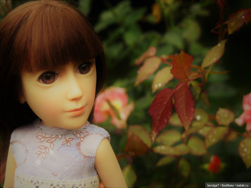 Triniti Dolls и розы — Куклы Dyvomir (Дивомир) и Trinity (Тринити): российские шарнирные куклы (фото 10)