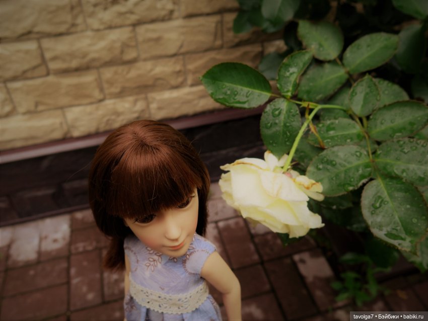 Triniti Dolls и розы — Куклы Dyvomir (Дивомир) и Trinity (Тринити): российские шарнирные куклы (фото 3)