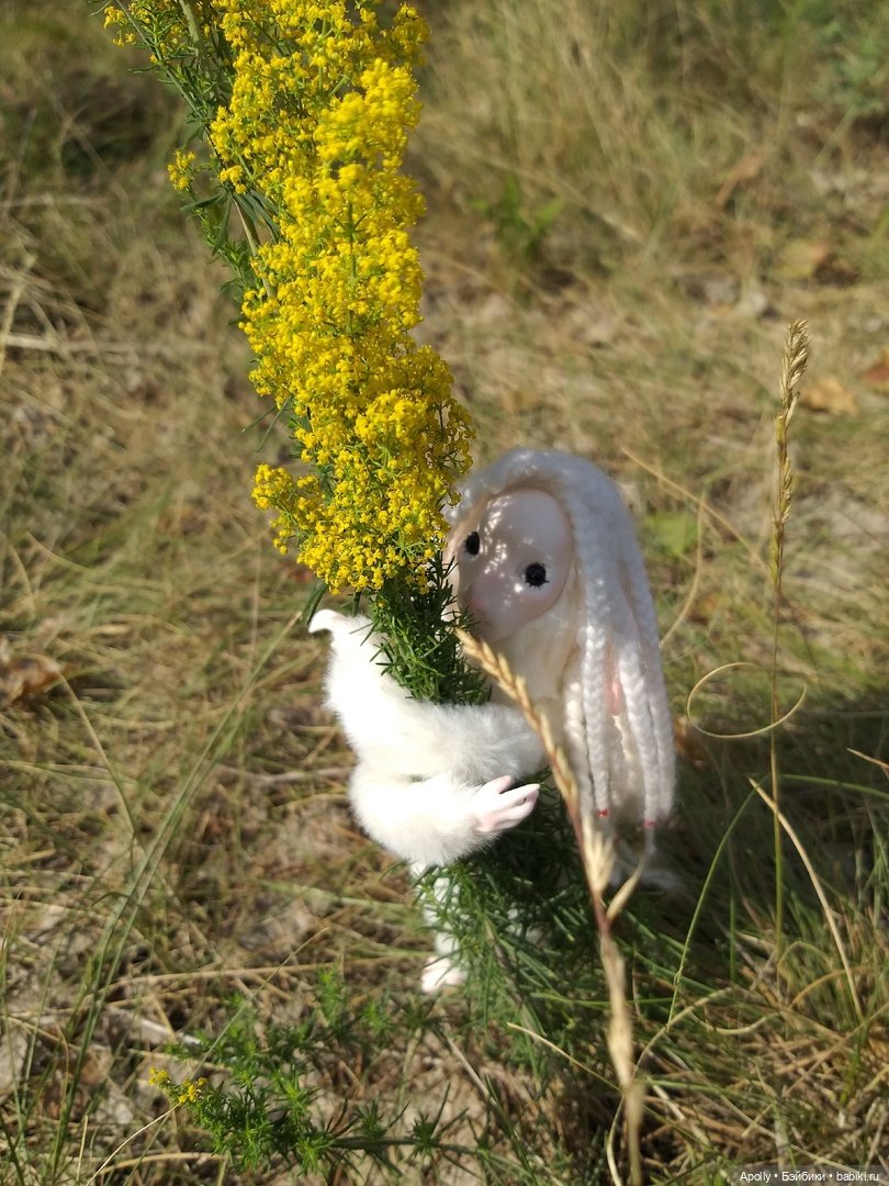 Эрин убегает в лес — Домашние фото авторских кукол: личные коллекции