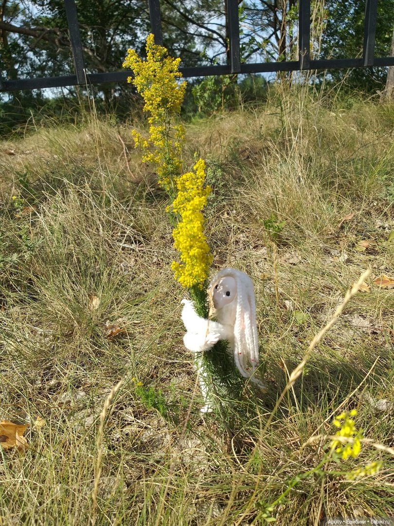 Эрин убегает в лес — Домашние фото авторских кукол: личные коллекции (фото 4)