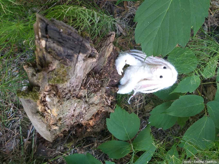 Эрин убегает в лес — Домашние фото авторских кукол: личные коллекции (фото 9)