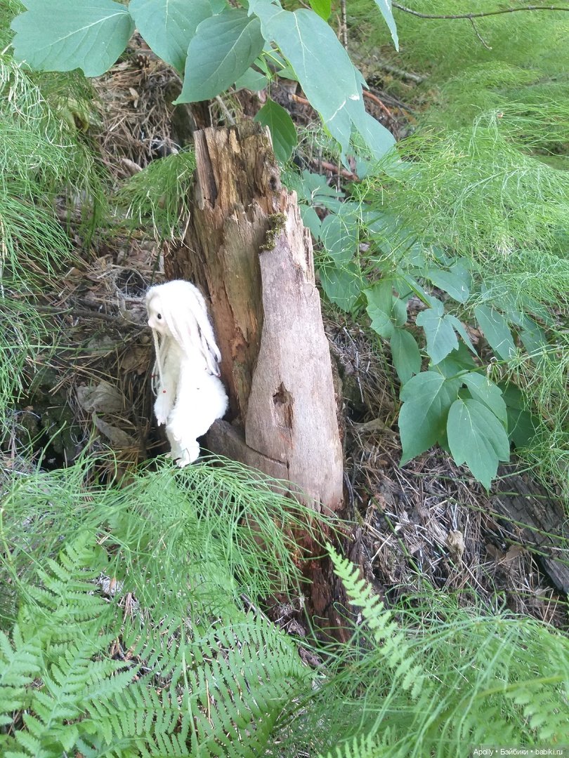 Эрин убегает в лес — Домашние фото авторских кукол: личные коллекции