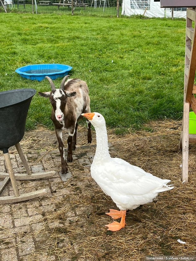 Музыкальная История 33 — Туризм и путешествия: фотоотчеты из поездок (фото 7)