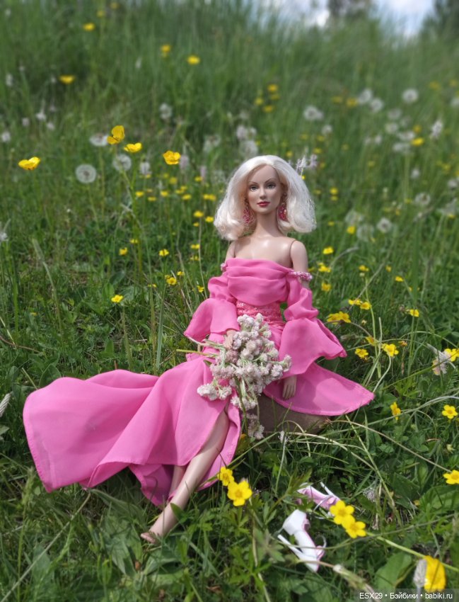 Мои куклы Тоннер — Фэшн