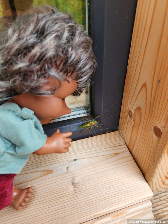 Жила-была Ёжинька — Разные шарнирные куклы (не БЖД): редкие (фото 3)