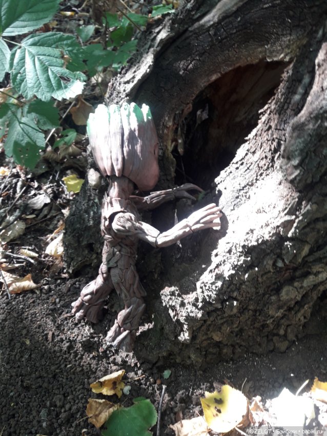 Грут в лесу — Разные шарнирные куклы (не БЖД): редкие (фото 2)