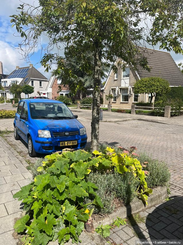 Музыкальная История 34 — Туризм и путешествия: фотоотчеты из поездок (фото 3)