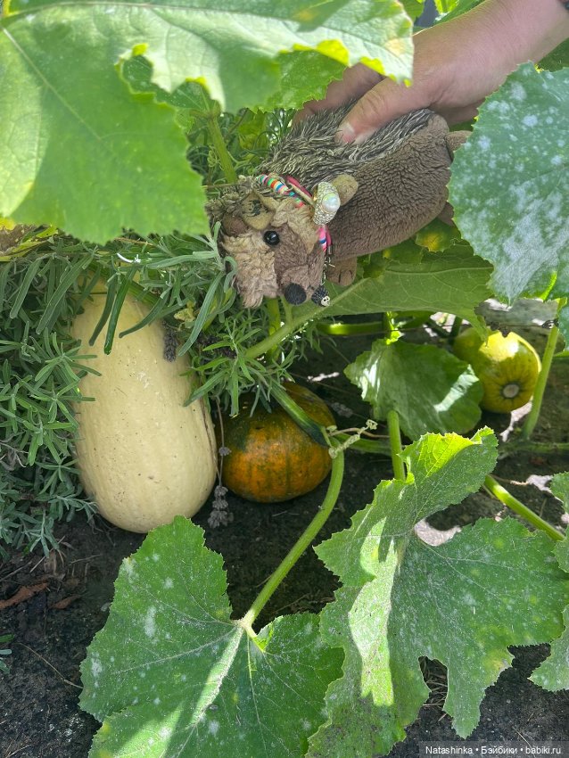 Музыкальная История 34 — Туризм и путешествия: фотоотчеты из поездок (фото 2)