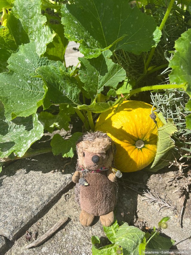 Музыкальная История 34 — Туризм и путешествия: фотоотчеты из поездок