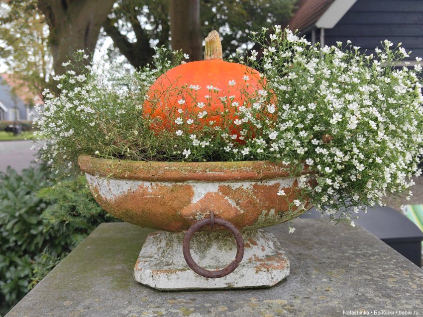 Музыкальная История 34 — Туризм и путешествия: фотоотчеты из поездок