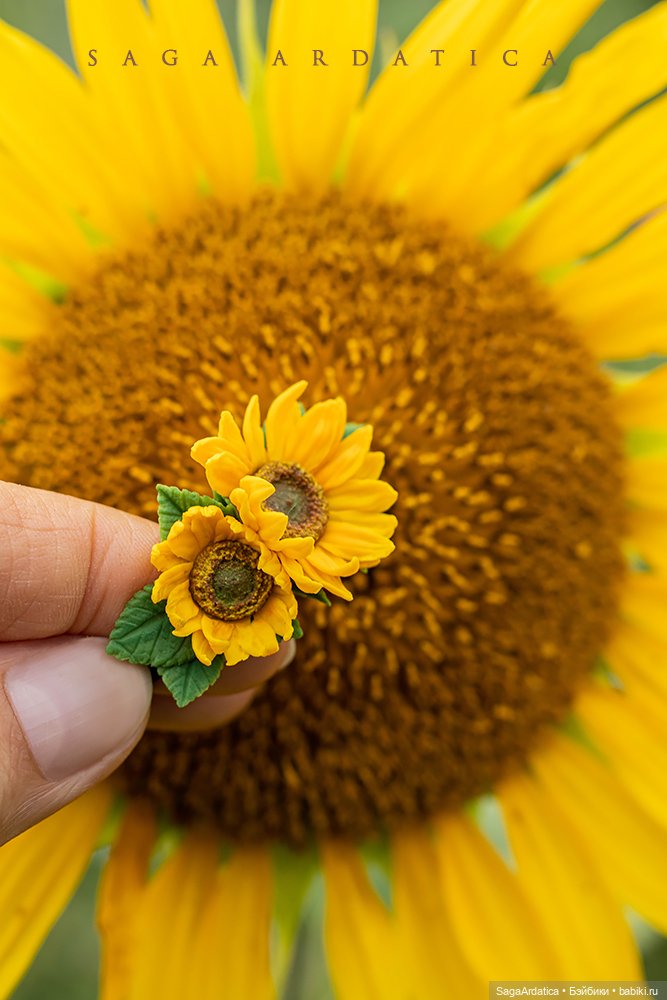 Абигейл и подсолнушки — Куклы Monster High и Ever After High: G1 (фото 4)