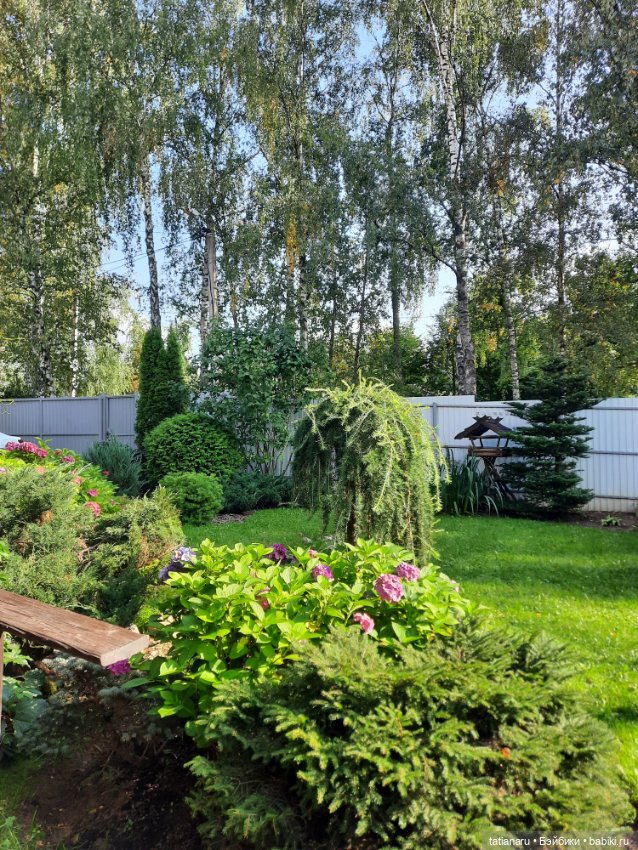 Кусочек лета на память — Куклы Blythe (Блайз) ООАК: кастом (фото 10)