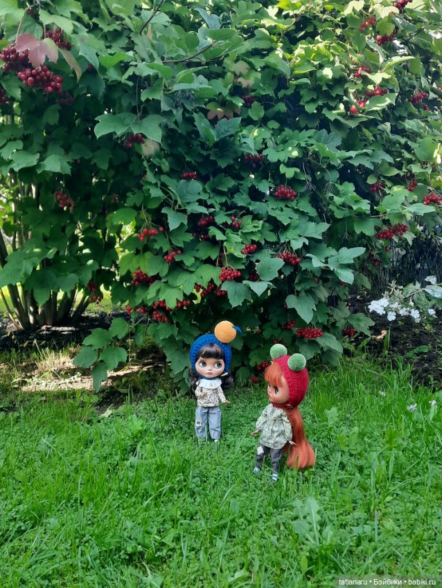 Кусочек лета на память — Куклы Blythe (Блайз) ООАК: кастом