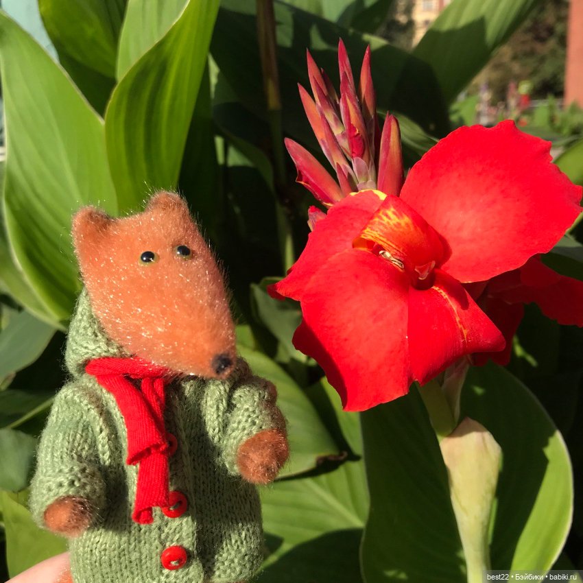 Когда лисенок на прогулке… (фото 10)