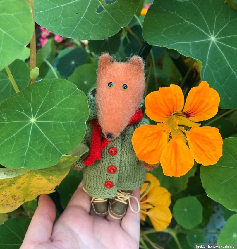 Когда лисенок на прогулке… (фото 8)