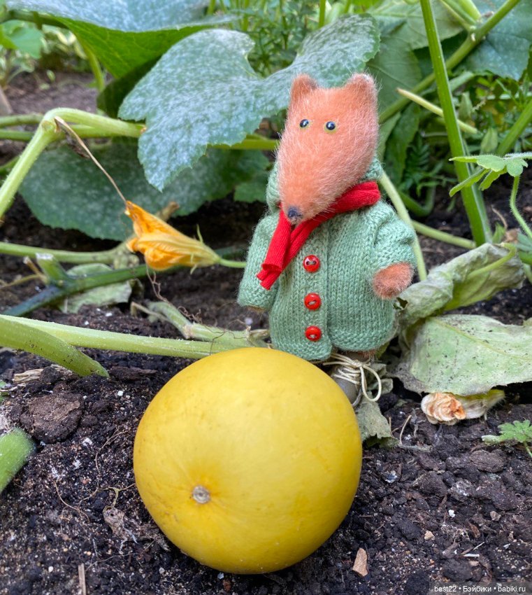 Когда лисенок на прогулке…