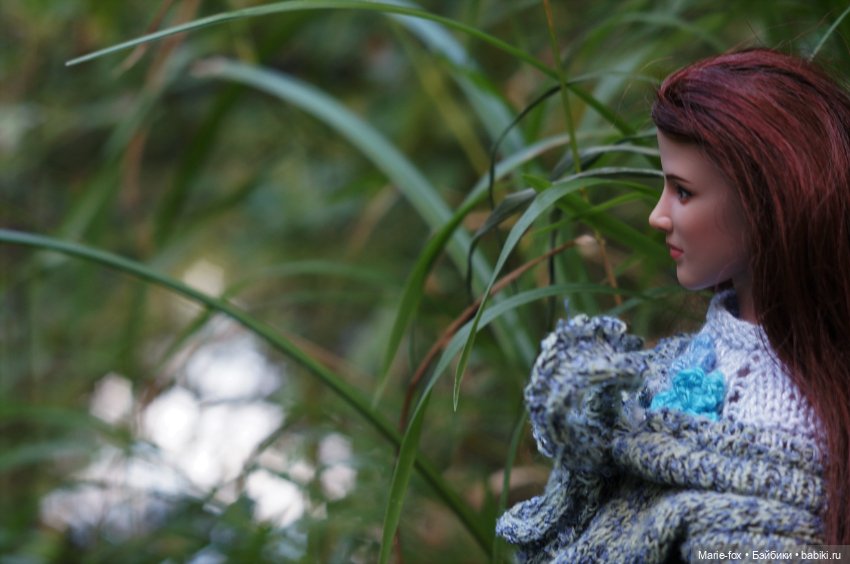 По лесам, по полям Белла Свон приехала к нам! Любовь с первого взгляда. Первая прогулка