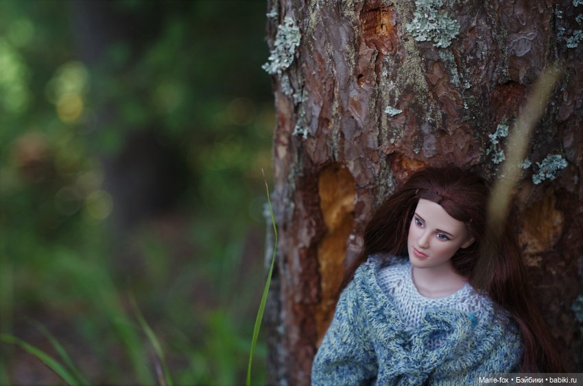 По лесам, по полям Белла Свон приехала к нам! Любовь с первого взгляда. Первая прогулка (фото 5)