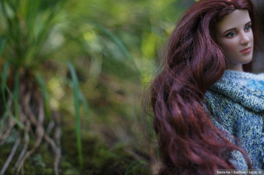 По лесам, по полям Белла Свон приехала к нам! Любовь с первого взгляда. Первая прогулка