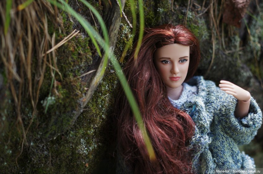 По лесам, по полям Белла Свон приехала к нам! Любовь с первого взгляда. Первая прогулка (фото 8)