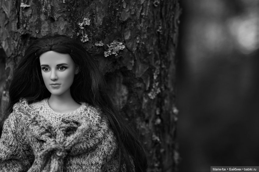 По лесам, по полям Белла Свон приехала к нам! Любовь с первого взгляда. Первая прогулка (фото 2)