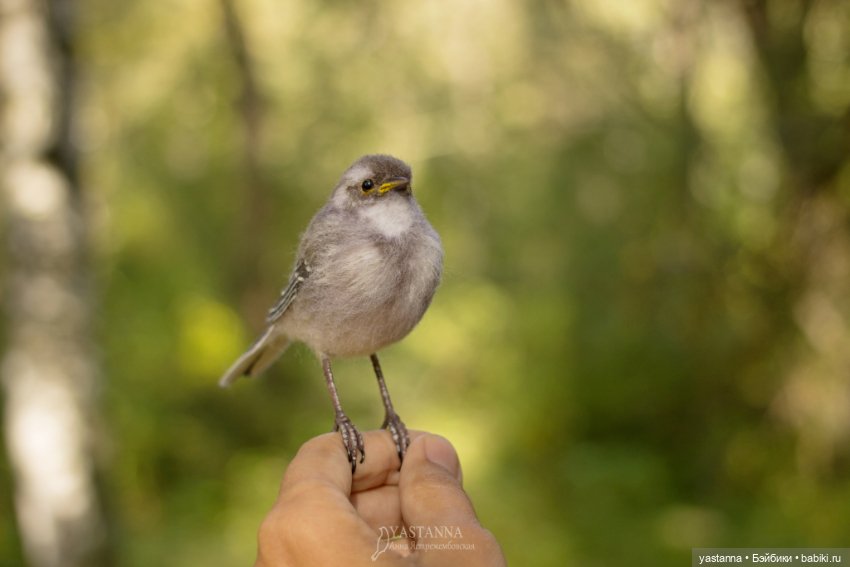 Птенчик — Валяные игрушки из шерсти: сухое валяние