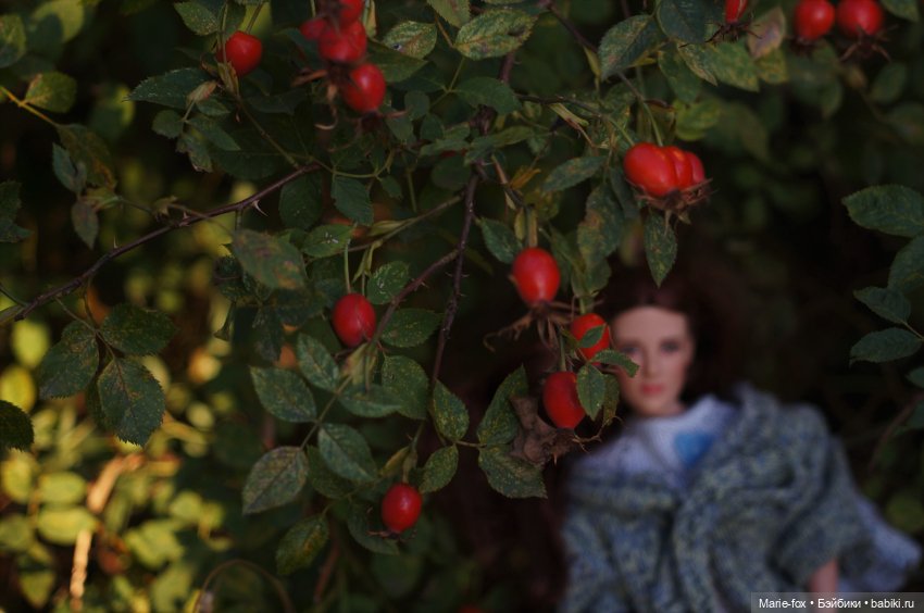 Белла. Гранатовый сад. Прогулка вторая