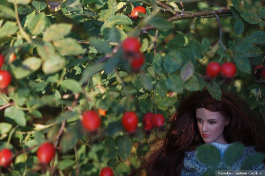 Белла. Гранатовый сад. Прогулка вторая (фото 7)