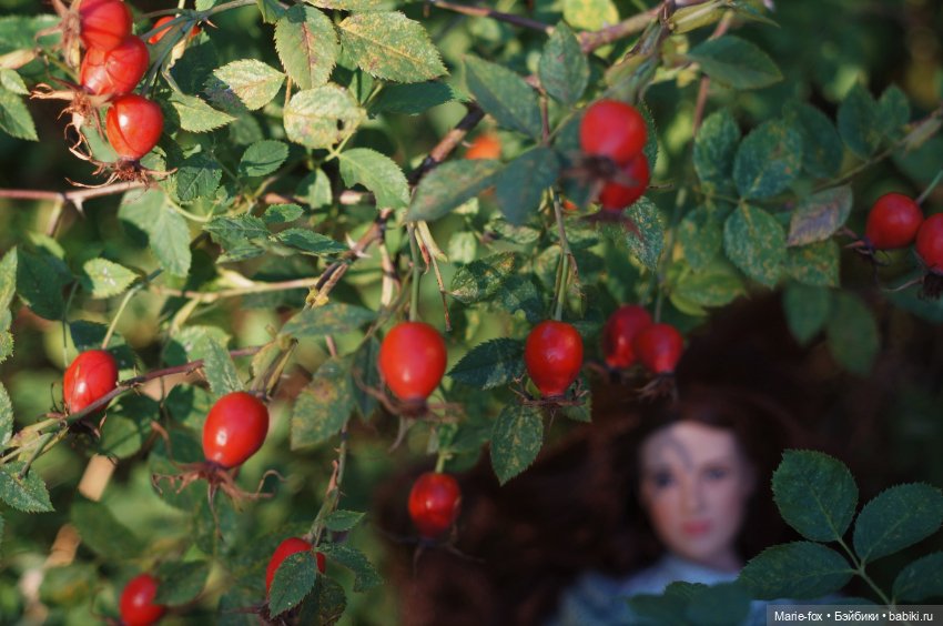 Белла. Гранатовый сад. Прогулка вторая (фото 10)