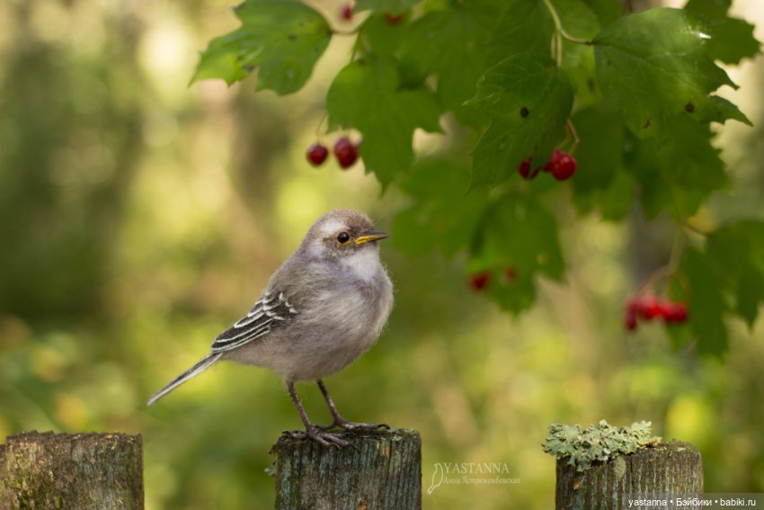 Птенчик — Валяные игрушки из шерсти: сухое валяние (фото 2)