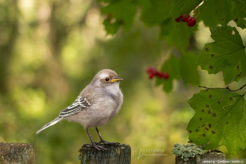 Птенчик — Валяные игрушки из шерсти: сухое валяние (фото 3)