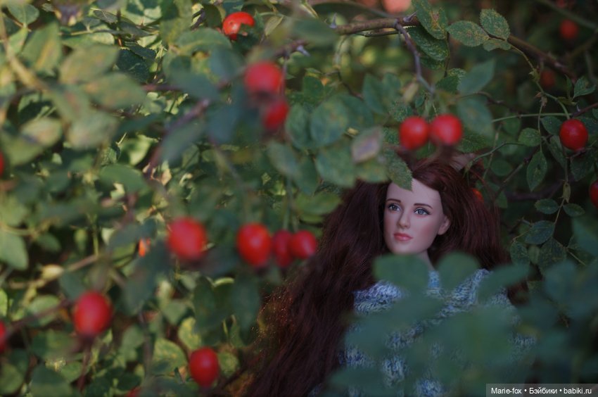 Белла. Гранатовый сад. Прогулка вторая (фото 5)