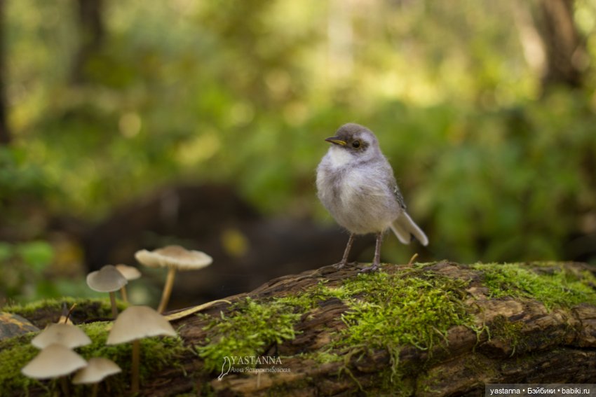 Птенчик — Валяные игрушки из шерсти: сухое валяние