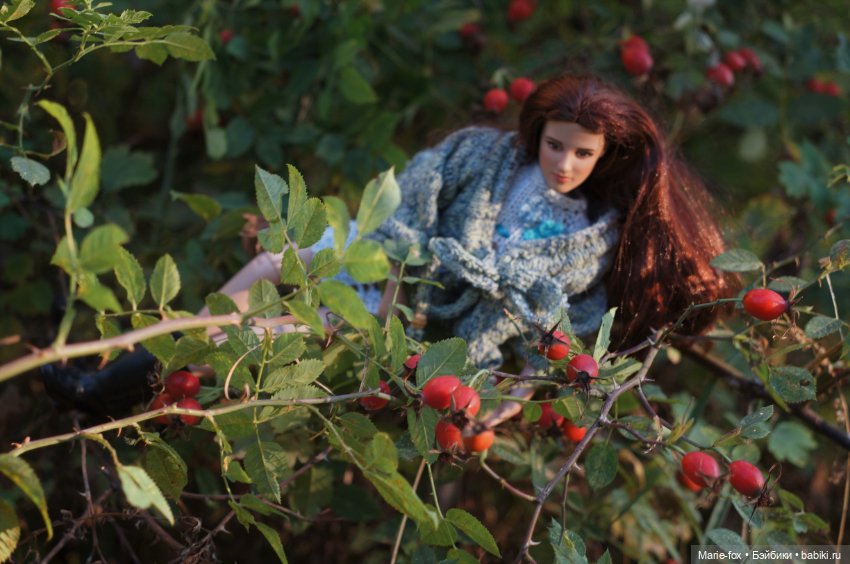 Белла. Гранатовый сад. Прогулка вторая