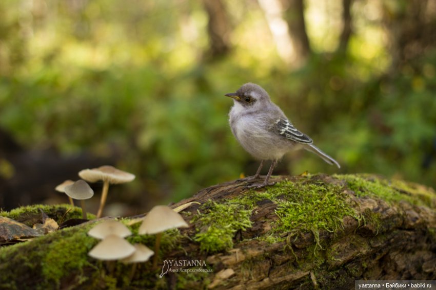 Птенчик — Валяные игрушки из шерсти: сухое валяние (фото 8)