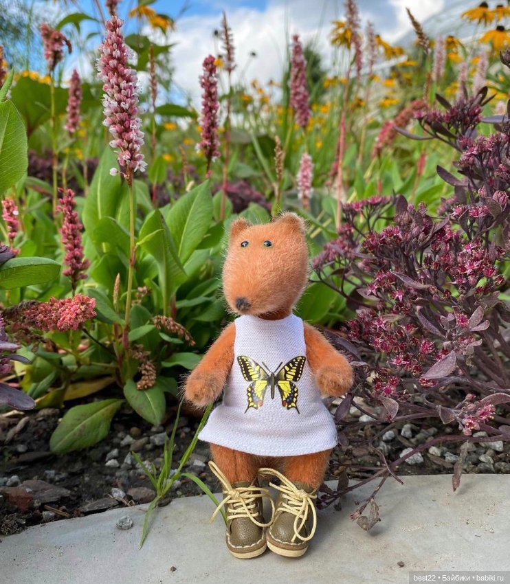 Когда лисенок на прогулке…