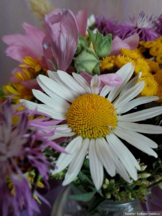 Последние тёплые денёчки — Винтажные куклы ГДР (Немки): Бигги (фото 10)