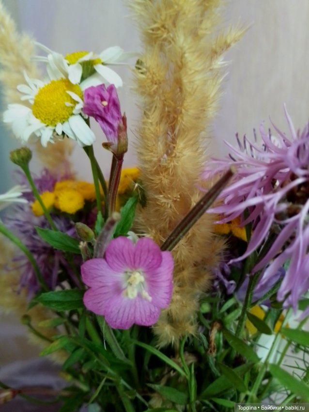 Последние тёплые денёчки — Винтажные куклы ГДР (Немки): Бигги (фото 8)