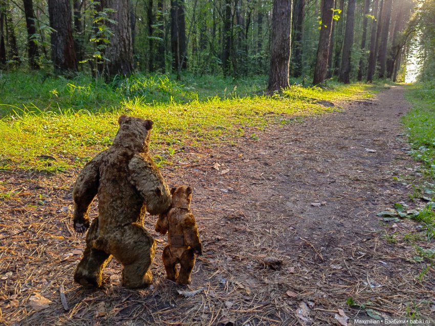 Дедушка и внук Медведи Инны Матус
