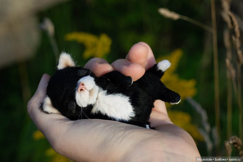 Котики /ᐠ_ ꞈ _ᐟ\ — Авторские мишки Тедди и друзья: фото (фото 2)