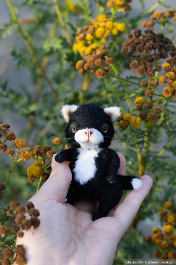 Котики /ᐠ_ ꞈ _ᐟ\ — Авторские мишки Тедди и друзья: фото (фото 4)