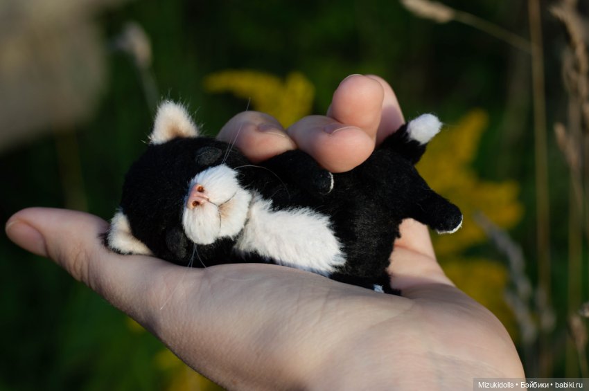 Котики /ᐠ_ ꞈ _ᐟ\ — Авторские мишки Тедди и друзья: фото