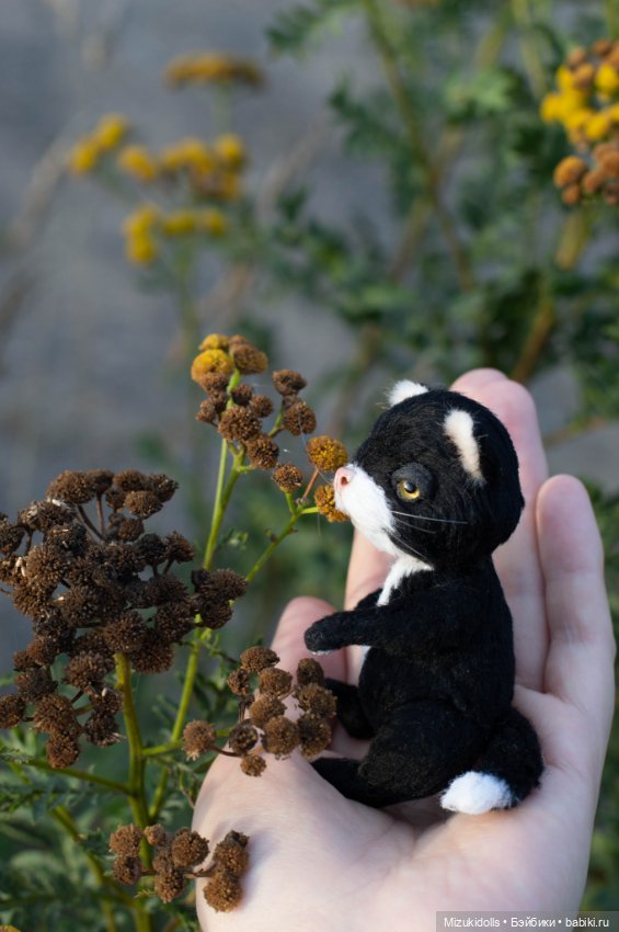 Котики /ᐠ_ ꞈ _ᐟ\ — Авторские мишки Тедди и друзья: фото (фото 7)
