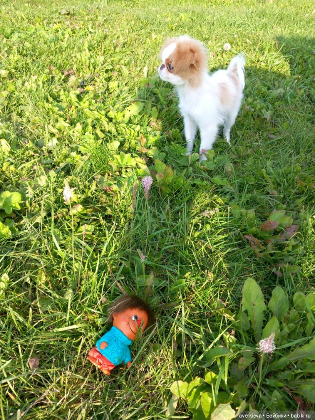 Микроша — Винтажные куклы ГДР (Немки): Бигги