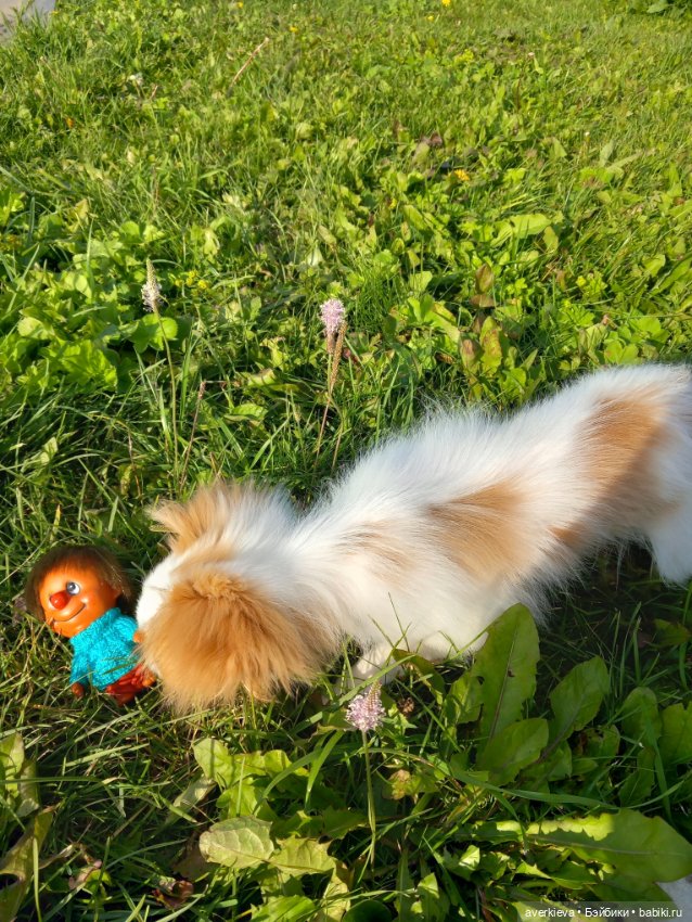 Микроша — Винтажные куклы ГДР (Немки): Бигги (фото 9)