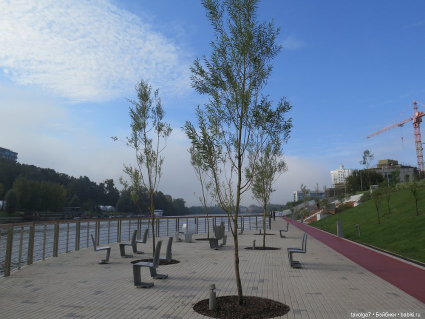 "Истекает мёдом, светом и смолой." (фото 8)