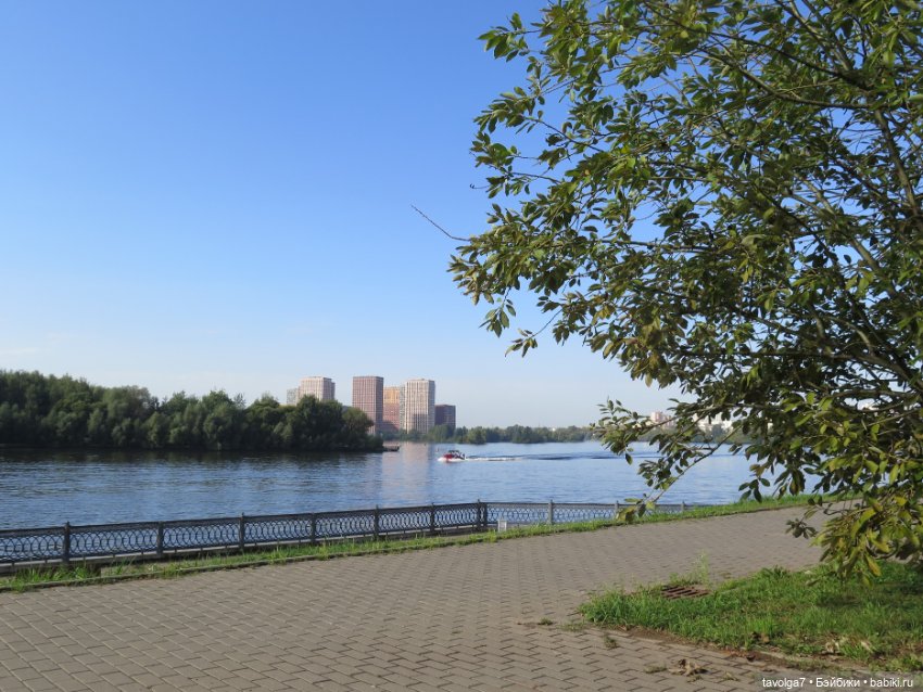 "Истекает мёдом, светом и смолой."