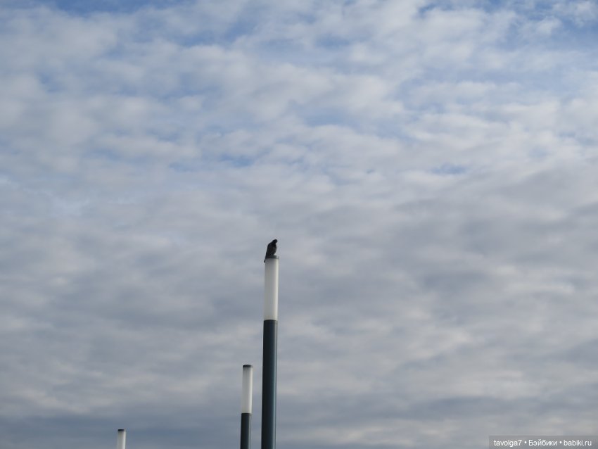 "Истекает мёдом, светом и смолой." (фото 9)