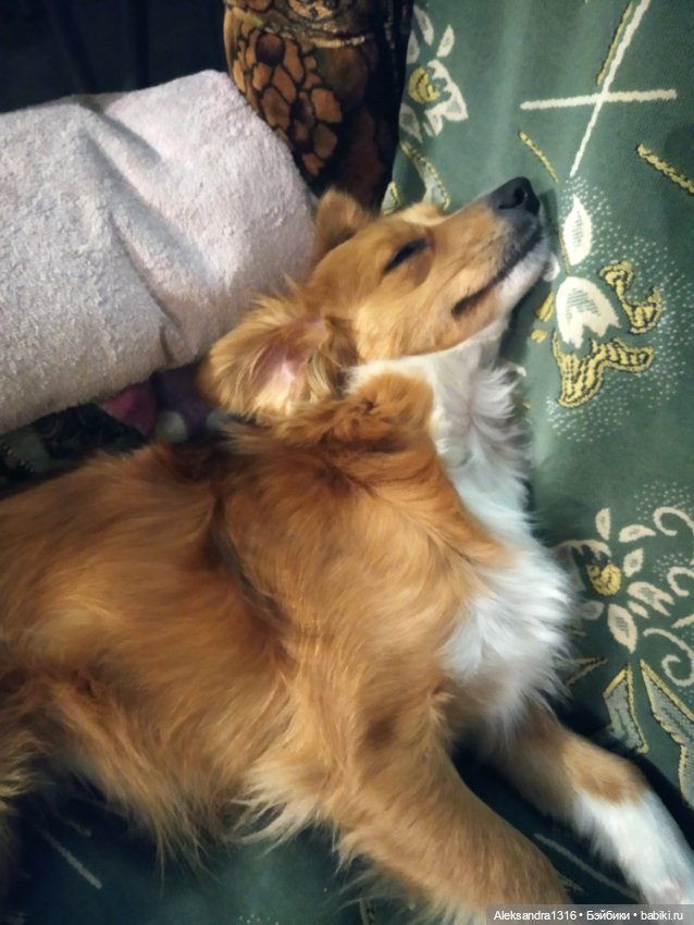 Все оттенки рыжих🧡 — Коллекционные игрушки и фигурки: Lego